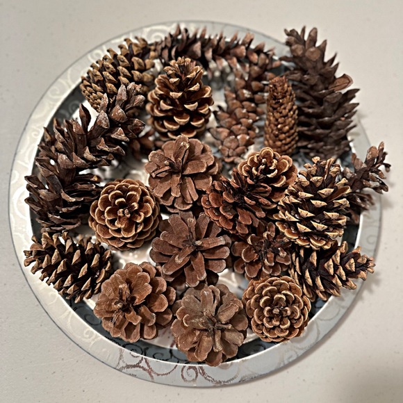 Pinecones Assorted Holiday Decor - Picture 2 of 5